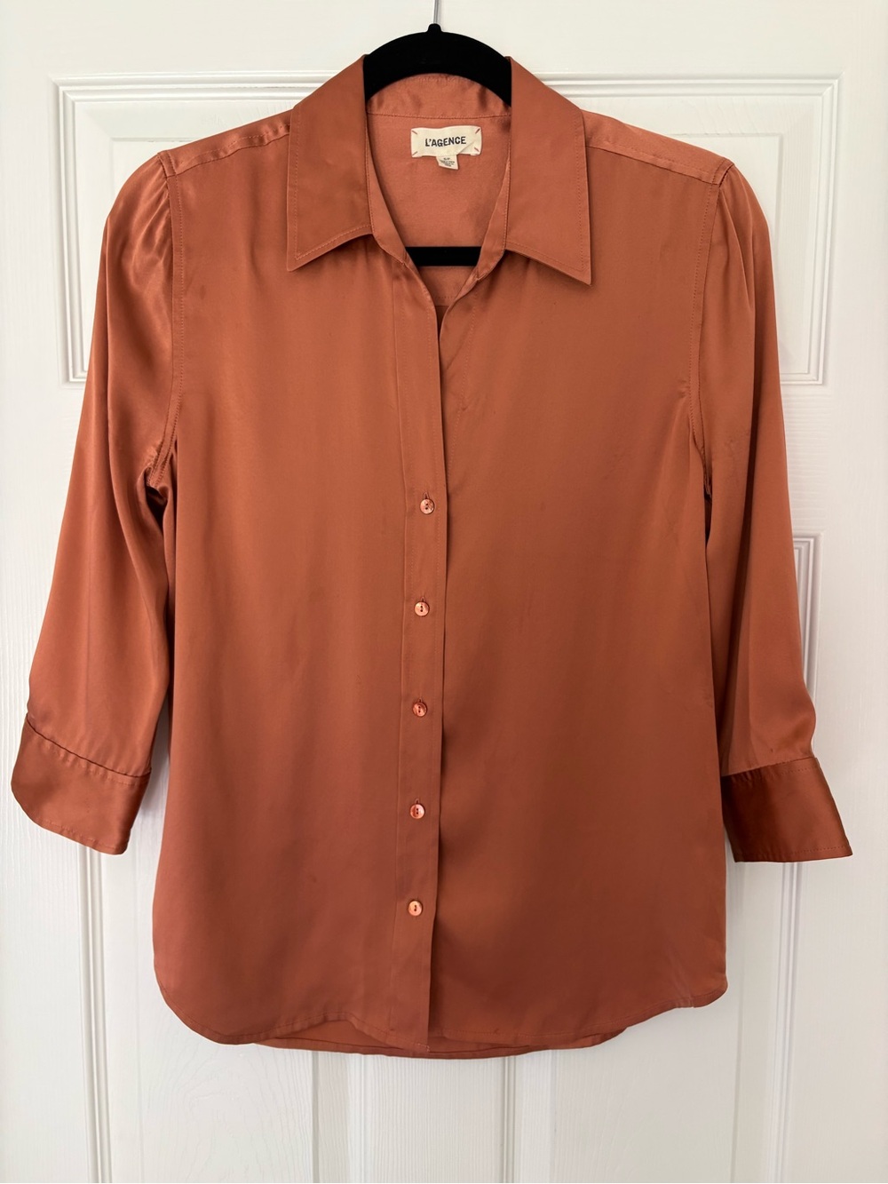 L'Agence Dani Women's Silk Blouse Button Down Size Small Quiet Luxury Designer - Picture 3 of 7
